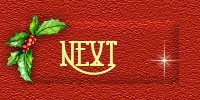 Fly to next Christmas message